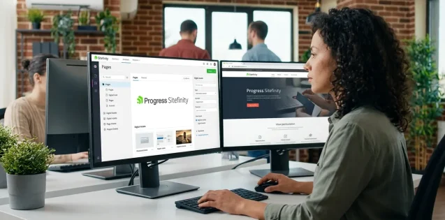 Sitefinity CMS 2